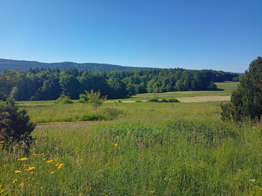 Aire camping-car  Maisons-du-Bois-Livremont (25650) - Photo 1